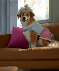 Frisco 18th Century Dog & Cat Dress Costume -The Frisco Store 334767 PT7. SY630 V1657656879