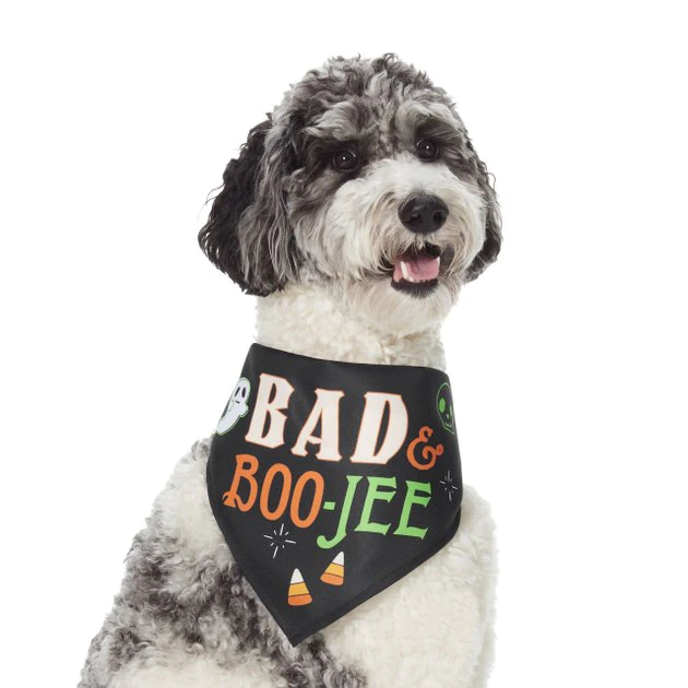 Frisco Bad & Boo-Jee Dog & Cat Costume Bandana 3 Frisco Bad & Boo-Jee Dog & Cat Costume Bandana