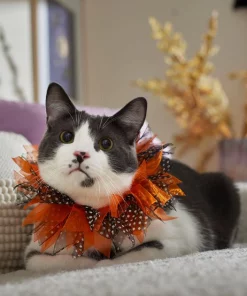 Frisco Cat Collar Ruffle Costume Accessory, One Size 10 Frisco Cat Collar Ruffle Costume Accessory, One Size -The Frisco Store 334842 PT7. SY630 V1657656879