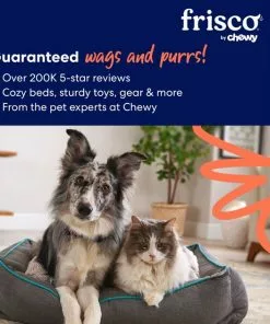 Frisco Cat Collar Ruffle Costume Accessory, One Size 11 Frisco Cat Collar Ruffle Costume Accessory, One Size -The Frisco Store 334842 PT8. SY630 V1659299153