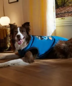 Frisco Dino Skeleton Dog & Cat T-Shirt -The Frisco Store 334881 PT7. SY630 V1657718232