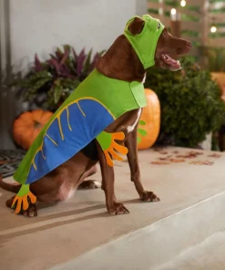 Frisco Frog Dog & Cat Costume -The Frisco Store 334946 PT7. SY630 V1658150709