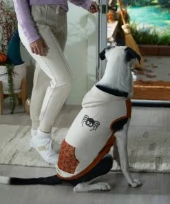 Frisco Happy Spider Dog & Cat Hoodie -The Frisco Store 334957 PT7. SY630 V1657721208