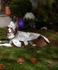 Frisco Seal Dog & Cat Costume 16 Frisco Seal Dog & Cat Costume -The Frisco Store 334980 PT7. SY630 V1657731231