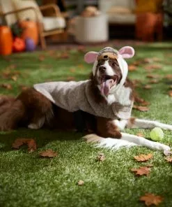 Frisco Hedgehog Dog & Cat Costume -The Frisco Store 334989 PT7. SY630 V1657656881