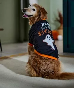 Frisco Here for the Boos Dog & Cat T-Shirt -The Frisco Store 335004 PT7. SY630 V1657657478