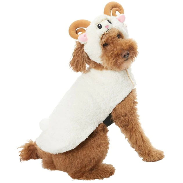 Frisco Sheep Dog & Cat Costume 3 Frisco Sheep Dog & Cat Costume
