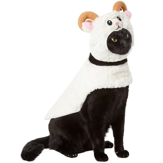 Frisco Sheep Dog & Cat Costume 5 Frisco Sheep Dog & Cat Costume - Image 3