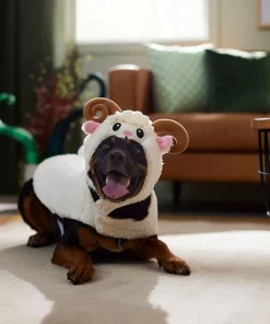 Frisco Sheep Dog & Cat Costume 16 Frisco Sheep Dog & Cat Costume -The Frisco Store 335037 PT7. SY630 V1657728686