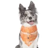 Frisco Orange Spiderweb Dog & Cat Costume Bandana -The Frisco Store 335045 MAIN. SY630 V1658716393