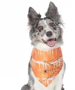 Frisco Orange Spiderweb Dog & Cat Costume Bandana