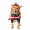 Frisco Punk Rocker Dog & Cat Costume 2 Frisco Punk Rocker Dog & Cat Costume -The Frisco Store 335082 MAIN. SY630 V1658345611