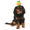 Frisco Pumpkin Headband Dog & Cat Costume Accessory -The Frisco Store 335090 MAIN. SY630 V1658349060