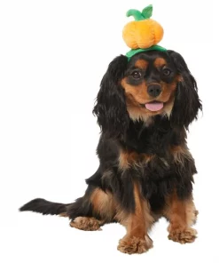 Frisco Pumpkin Headband Dog & Cat Costume Accessory