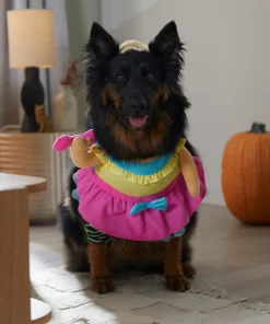 Frisco Front Walking Workout Girl Dog & Cat Costume 16 Frisco Front Walking Workout Girl Dog & Cat Costume -The Frisco Store 335105 PT7. SY630 V1657731290