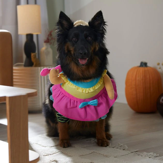 Frisco Front Walking Workout Girl Dog & Cat Costume 9 Frisco Front Walking Workout Girl Dog & Cat Costume - Image 7