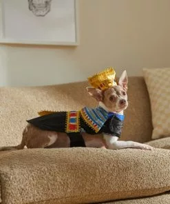 Frisco Royal Pharoah Dog & Cat Costume 16 Frisco Royal Pharoah Dog & Cat Costume -The Frisco Store 335113 PT7. SY630 V1659537098