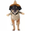 Frisco Front Walking Scarecrow Dog & Cat Costume -The Frisco Store 335133 MAIN. SY630 V1658342827