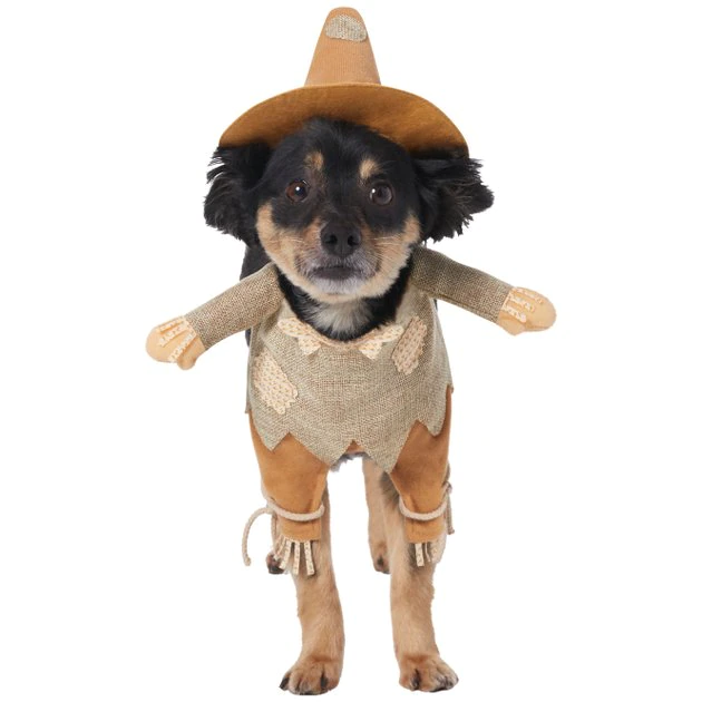 Frisco Front Walking Scarecrow Dog & Cat Costume 3 Frisco Front Walking Scarecrow Dog & Cat Costume