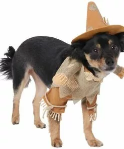 Frisco Front Walking Scarecrow Dog & Cat Costume 13 Frisco Front Walking Scarecrow Dog & Cat Costume -The Frisco Store 335133 PT3. SY630 V1658349119