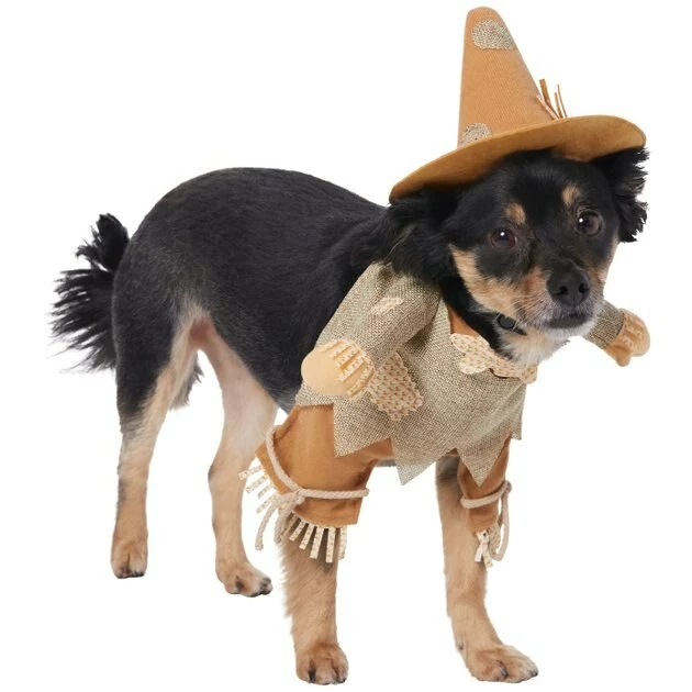 Frisco Front Walking Scarecrow Dog & Cat Costume 6 Frisco Front Walking Scarecrow Dog & Cat Costume - Image 4