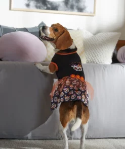 Frisco Sweet & Spooky Ruffle Skull Dog & Cat Dress -The Frisco Store 335161 PT7. SY630 V1657656882