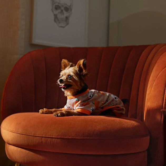 Frisco Spooky Printed Dog & Cat Jersey PJs 8 Frisco Spooky Printed Dog & Cat Jersey PJs - Image 6