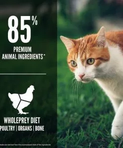 ORIJEN||Frisco ORIJEN Fit & Trim Grain-Free Dry Food + Frisco Colorful Springs Cat Toy -The Frisco Store 338697 PT4. SY630 V1635896619