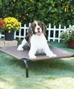 Frisco Steel-Framed Elevated Dog Bed